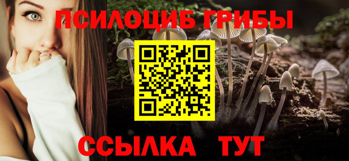 Галлюциногенные грибы мицелий Крымск
